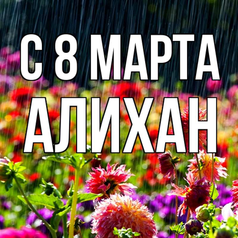 Картинка C 8 МАРТА, Алихан