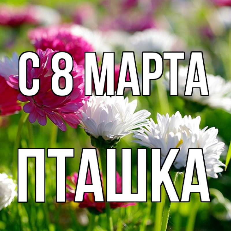 Картинка C 8 МАРТА, пташка