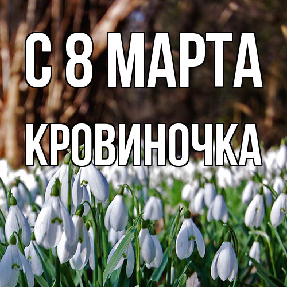 Открытка на каждый день с именем, кровиночка C 8 МАРТА с подснежниками 1 Прикольная открытка с пожеланием онлайн скачать бесплатно 
