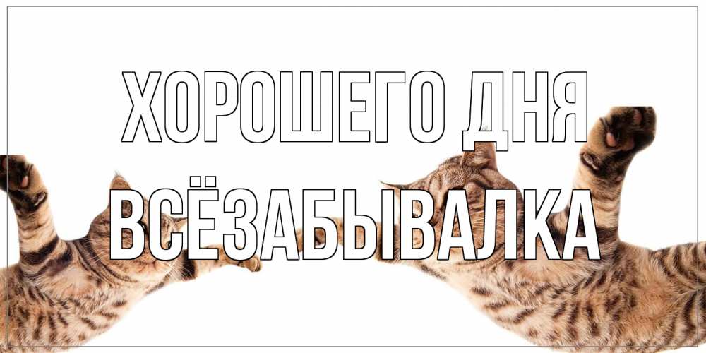 Открытка на каждый день с именем, Всёзабывалка Хорошего дня хорошего дня Прикольная открытка с пожеланием онлайн скачать бесплатно 