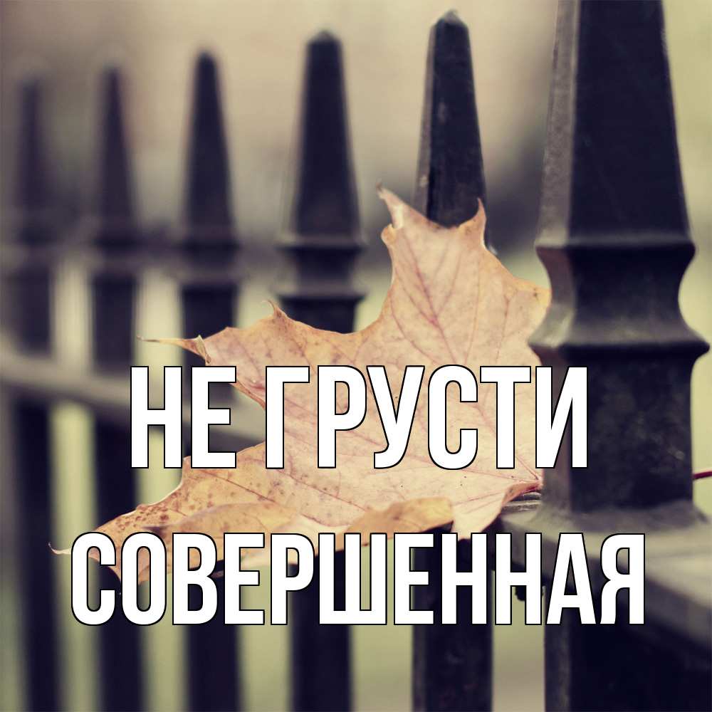 Открытка на каждый день с именем, Совершенная Не грусти лист клена Прикольная открытка с пожеланием онлайн скачать бесплатно 