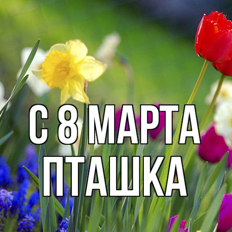 Картинка C 8 МАРТА, пташка