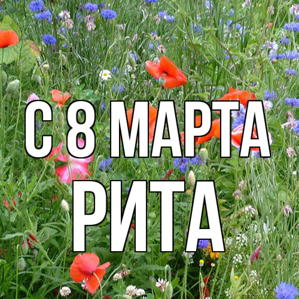 Открытка на каждый день с именем, Рита C 8 МАРТА международный женский день 4 Прикольная открытка с пожеланием онлайн скачать бесплатно 