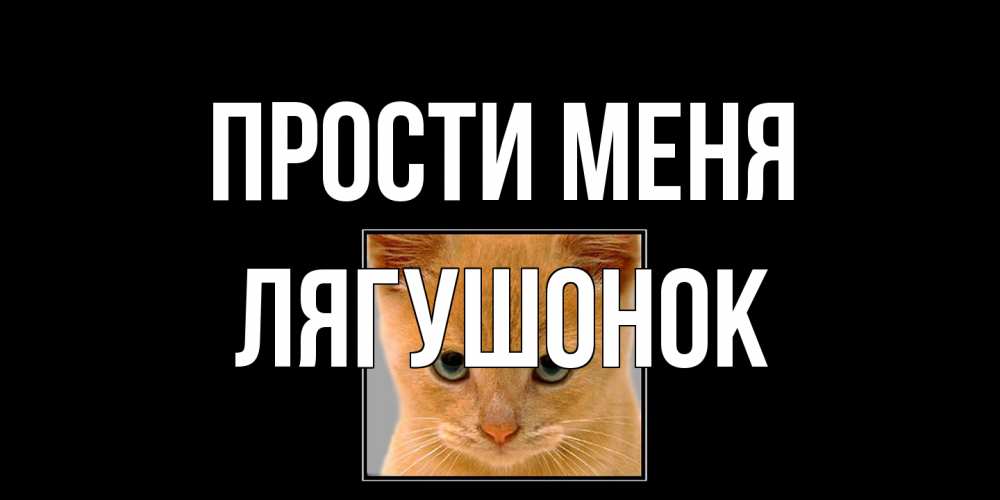 Открытка на каждый день с именем, лягушонок Прости меня рыжий грустный кот просит прощения Прикольная открытка с пожеланием онлайн скачать бесплатно 