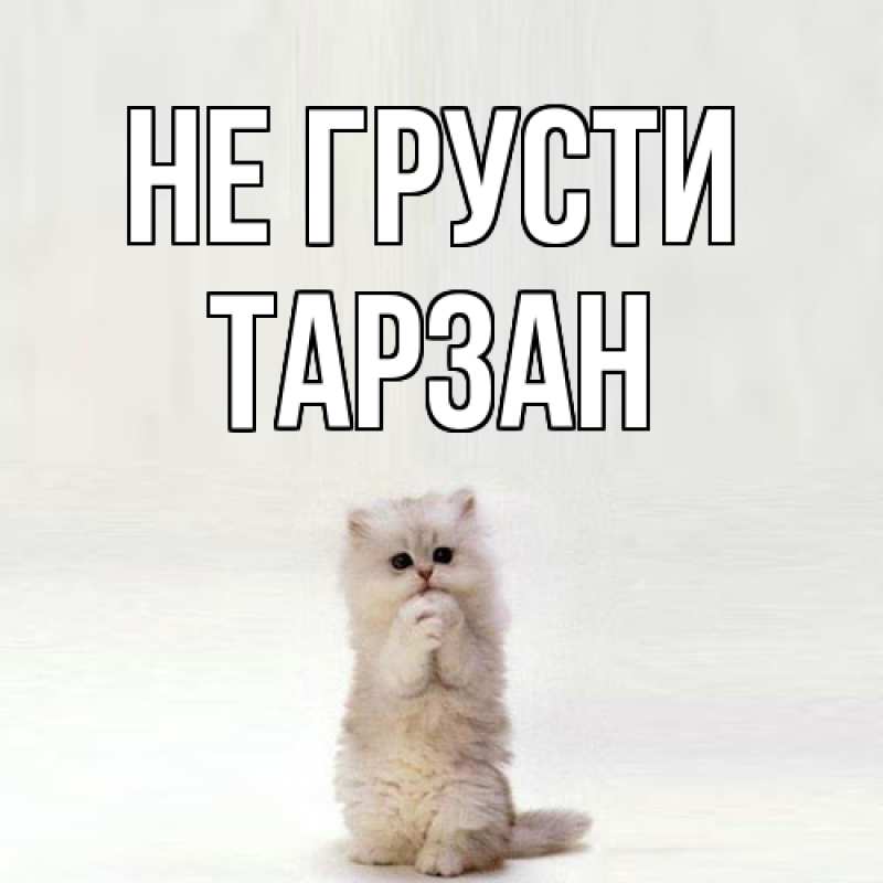 Картинка Не грусти, Тарзан