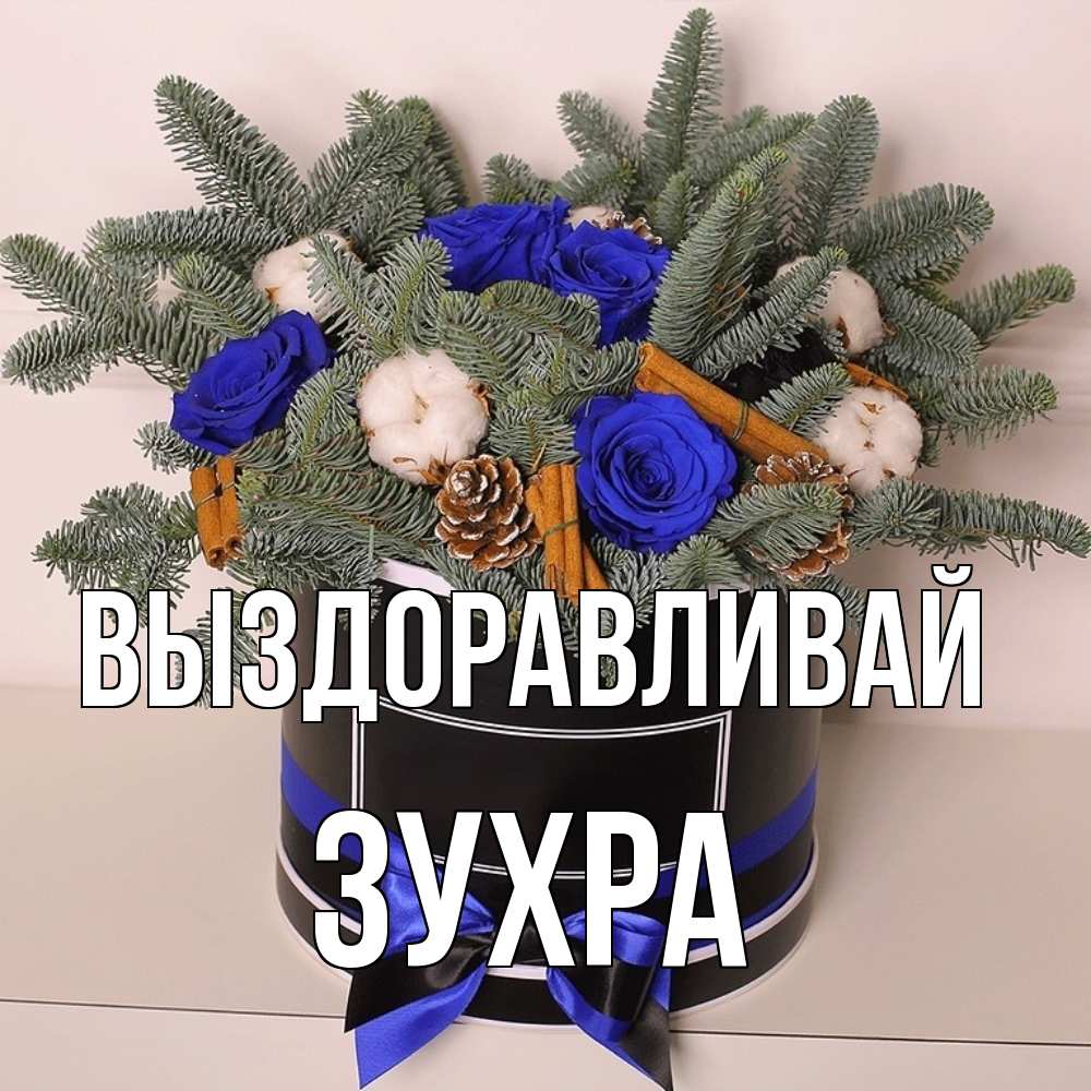 Открытка на каждый день с именем, Зухра Выздоравливай короче кто то загрузил эти шишки Прикольная открытка с пожеланием онлайн скачать бесплатно 