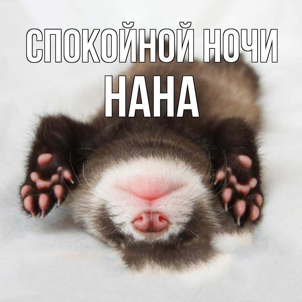 Открытка на каждый день с именем, Нана Спокойной ночи зверек Прикольная открытка с пожеланием онлайн скачать бесплатно 