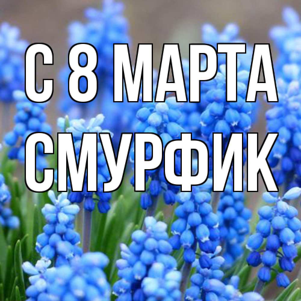 Открытка на каждый день с именем, Смурфик C 8 МАРТА Поздравительная открытка для женщин с цветами на праздничную дату Прикольная открытка с пожеланием онлайн скачать бесплатно 