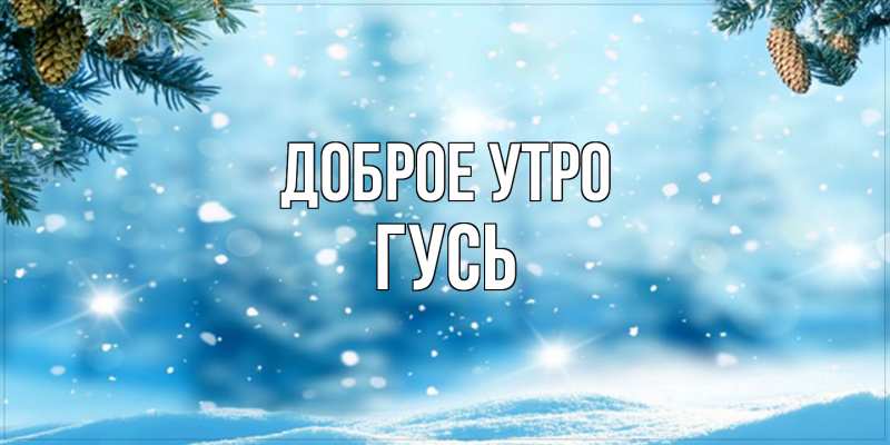 Картинка Доброе утро, Гусь