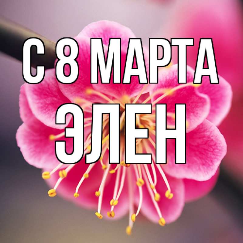 Картинка C 8 МАРТА, Элен