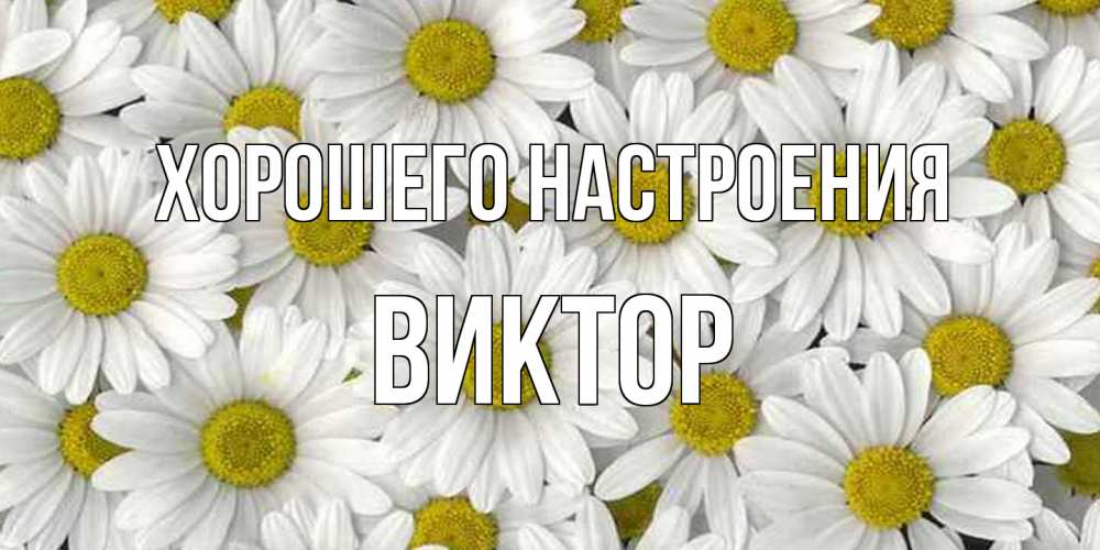 Открытка на каждый день с именем, Виктор Хорошего настроения поляна ромашек Прикольная открытка с пожеланием онлайн скачать бесплатно 