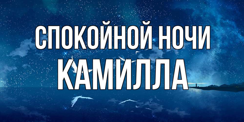 Открытка на каждый день с именем, Камилла Спокойной ночи птицы летят на фоне ночного неба Прикольная открытка с пожеланием онлайн скачать бесплатно 