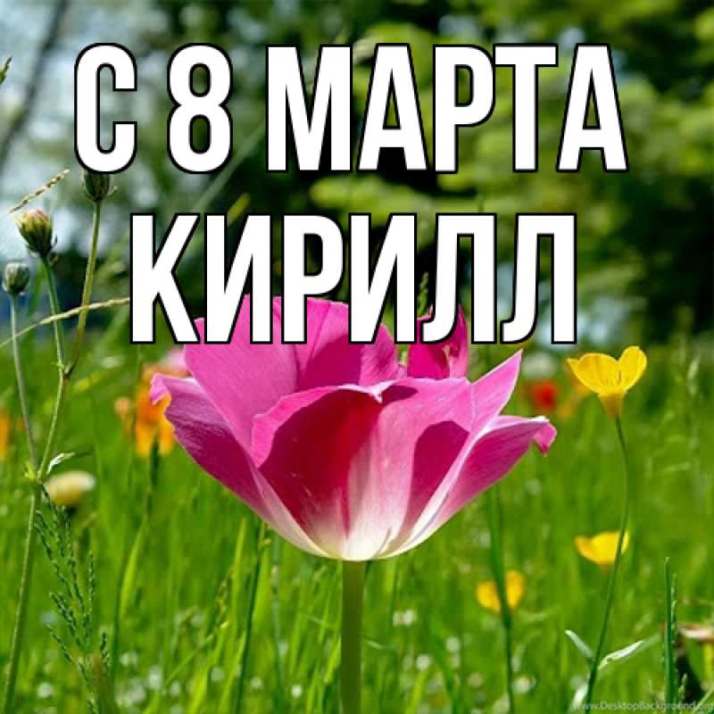 Картинка C 8 МАРТА, Кирилл