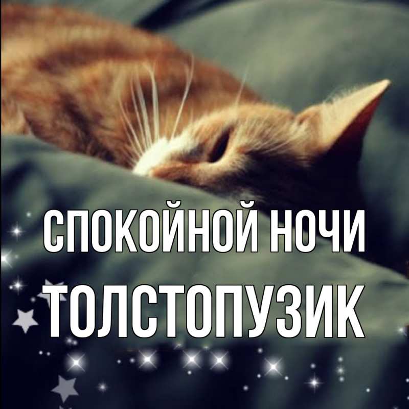 Картинка Спокойной ночи, Толстопузик