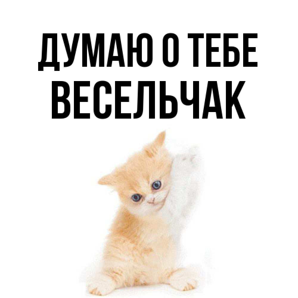 Открытка на каждый день с именем, Весельчак Думаю о тебе зверушки и милота Прикольная открытка с пожеланием онлайн скачать бесплатно 