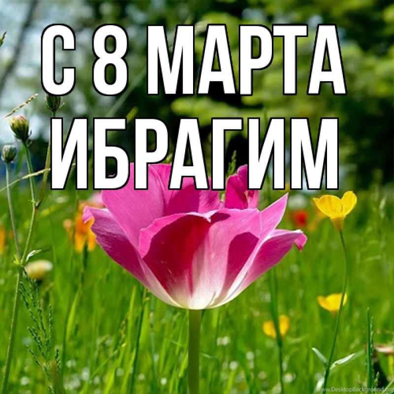Картинка C 8 МАРТА, Ибрагим