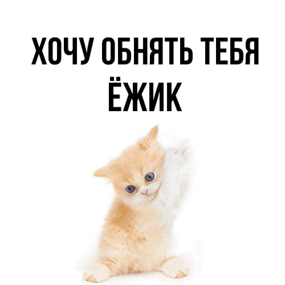 Открытка на каждый день с именем, Ёжик Хочу обнять тебя я хочу очень скорее обнимаешек Прикольная открытка с пожеланием онлайн скачать бесплатно 