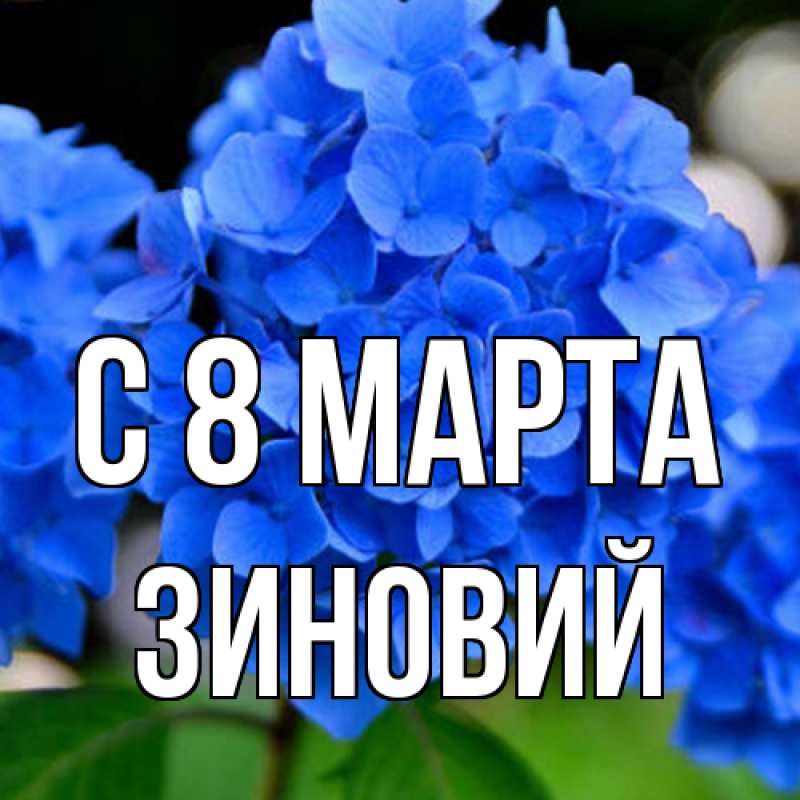 Картинка C 8 МАРТА, Зиновий