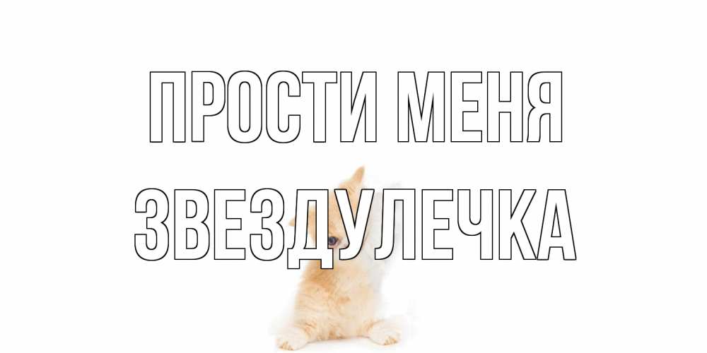 Открытка на каждый день с именем, Звездулечка Прости меня кот Прикольная открытка с пожеланием онлайн скачать бесплатно 