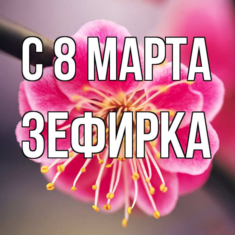 Открытка на каждый день с именем, зефирка C 8 МАРТА цветы Прикольная открытка с пожеланием онлайн скачать бесплатно 