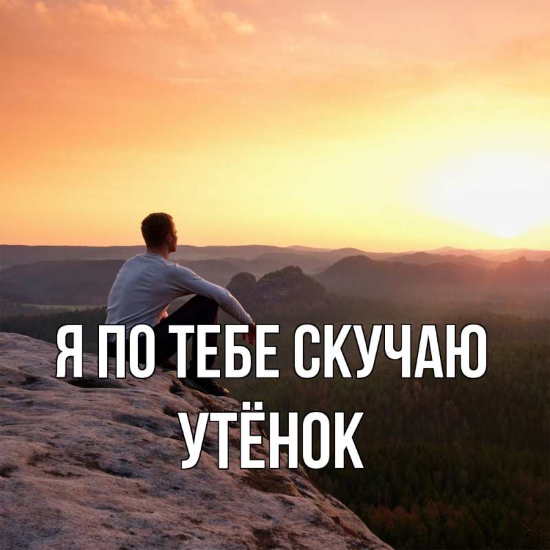 Картинка Я по тебе скучаю, Утёнок