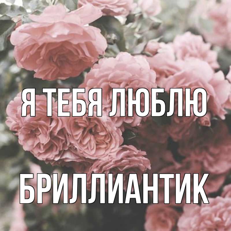 Картинка Я тебя люблю, Бриллиантик