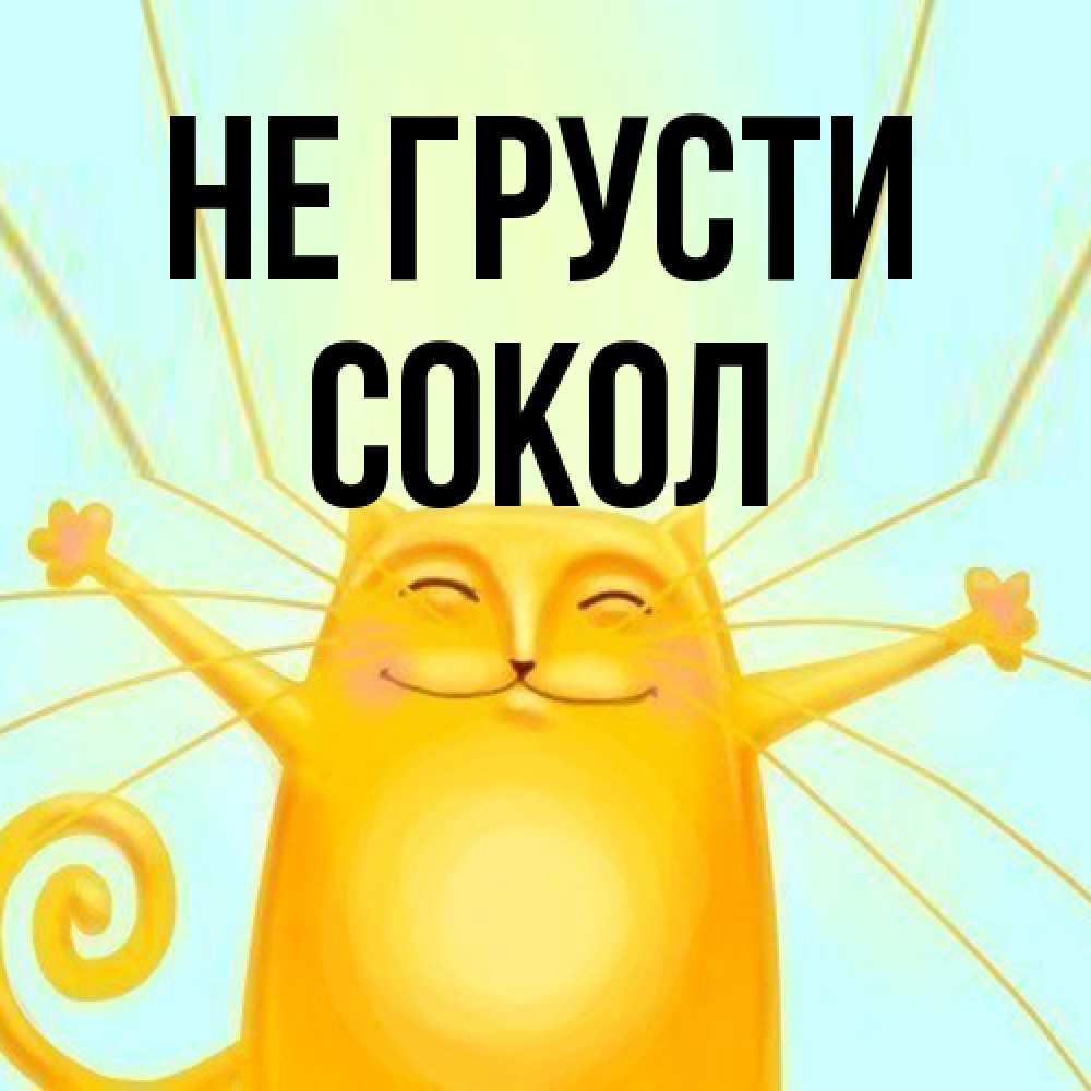 Открытка на каждый день с именем, Сокол Не грусти обнимашки усатые Прикольная открытка с пожеланием онлайн скачать бесплатно 