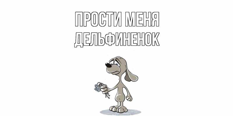 Картинка Прости меня, дельфиненок