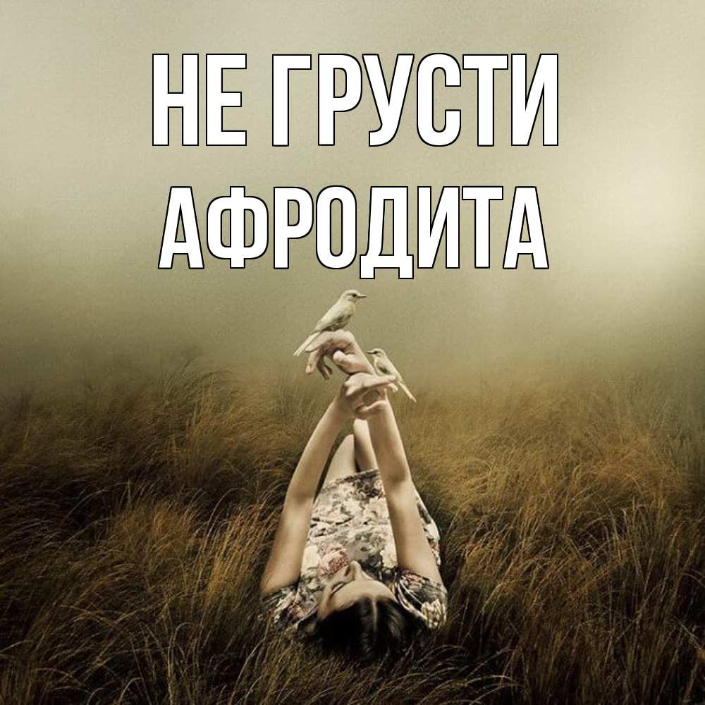 Открытка на каждый день с именем, Афродита Не грусти поле и туман Прикольная открытка с пожеланием онлайн скачать бесплатно 