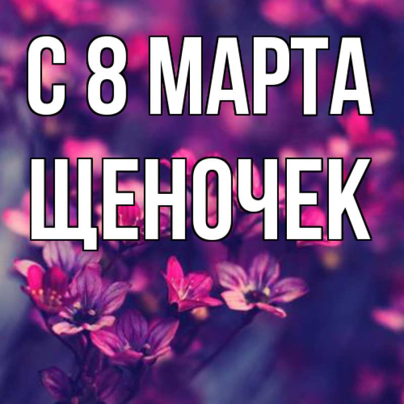 Картинка C 8 МАРТА, Щеночек