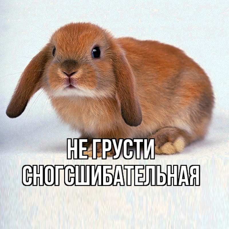 Картинка Не грусти, сногсшибательная