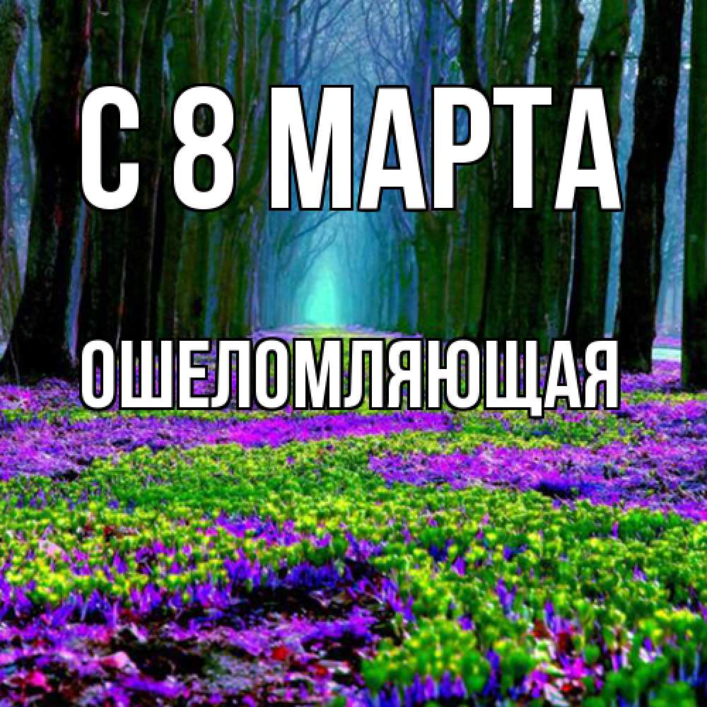 Открытка на каждый день с именем, Ошеломляющая C 8 МАРТА фиолетовые цветы в лесу 1 Прикольная открытка с пожеланием онлайн скачать бесплатно 