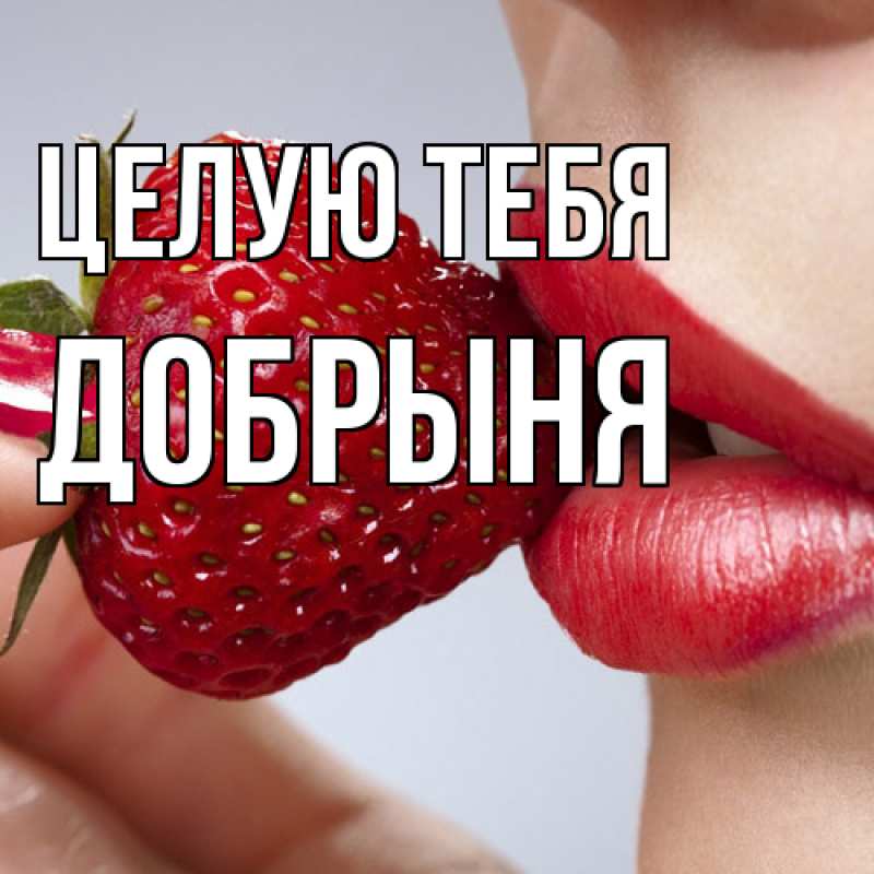 Картинка Целую тебя, Добрыня