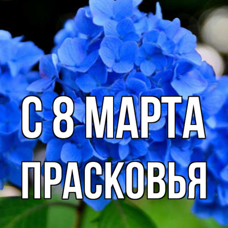 Картинка C 8 МАРТА, Прасковья
