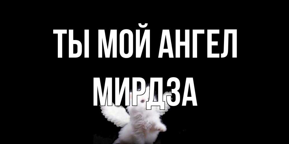 Открытка на каждый день с именем, Мирдза Ты мой ангел Кот ангел Прикольная открытка с пожеланием онлайн скачать бесплатно 