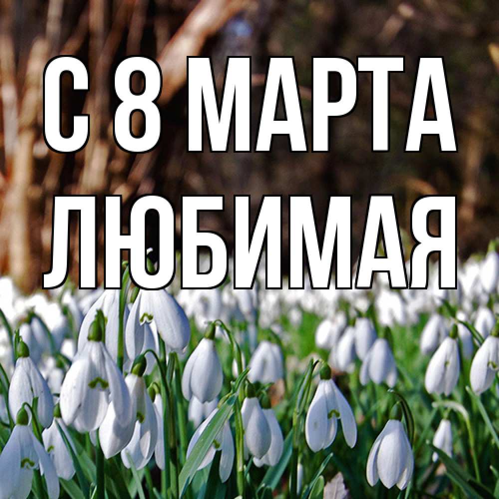 Открытка на каждый день с именем, Любимая C 8 МАРТА с подснежниками 1 Прикольная открытка с пожеланием онлайн скачать бесплатно 