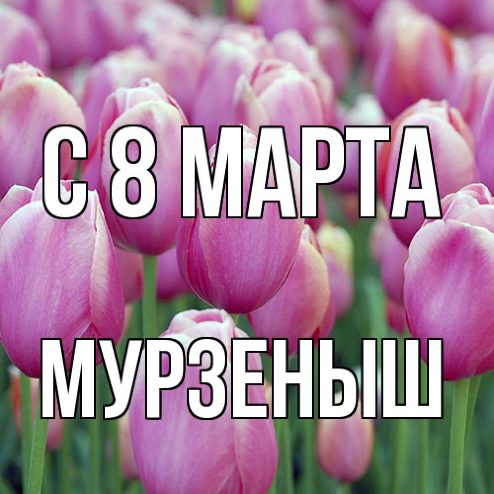 Открытка на каждый день с именем, мурзеныш C 8 МАРТА на международный женский день 3 Прикольная открытка с пожеланием онлайн скачать бесплатно 
