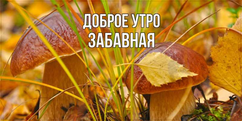 Картинка Доброе утро, забавная