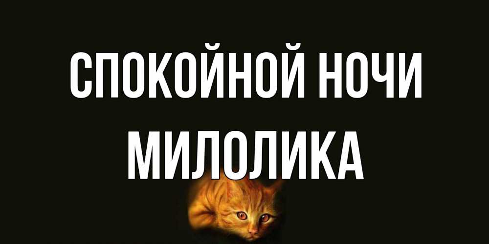 Открытка на каждый день с именем, Милолика Спокойной ночи кот Прикольная открытка с пожеланием онлайн скачать бесплатно 