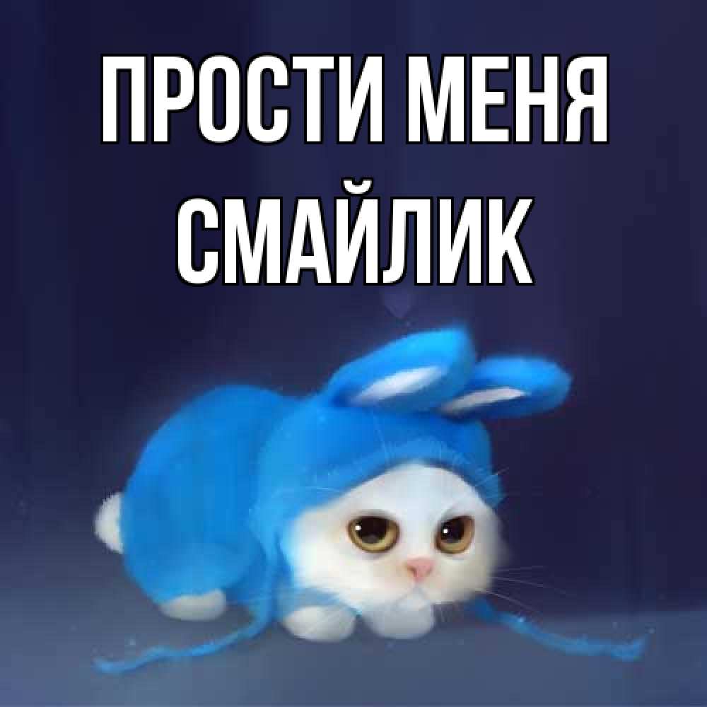 Открытка на каждый день с именем, Смайлик Прости меня невинный котозай просит прощения Прикольная открытка с пожеланием онлайн скачать бесплатно 