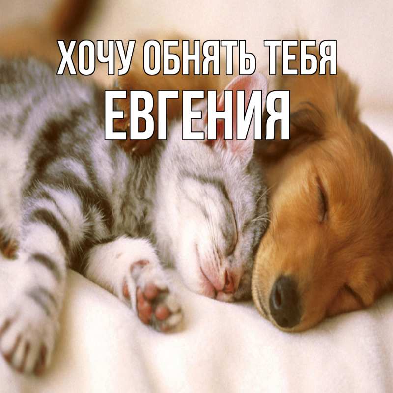 Картинка Хочу обнять тебя, Евгения