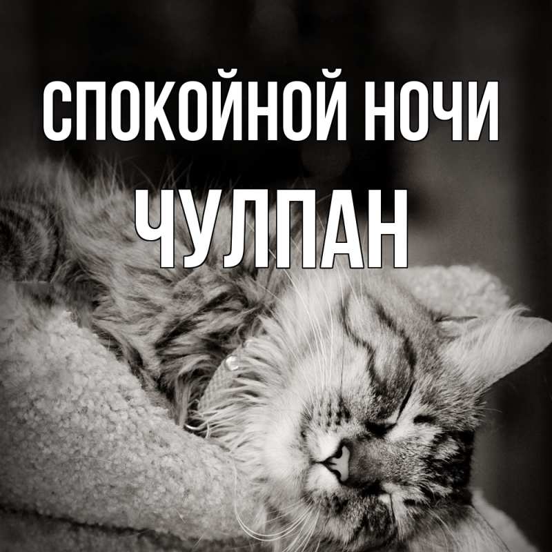Картинка Спокойной ночи, Чулпан