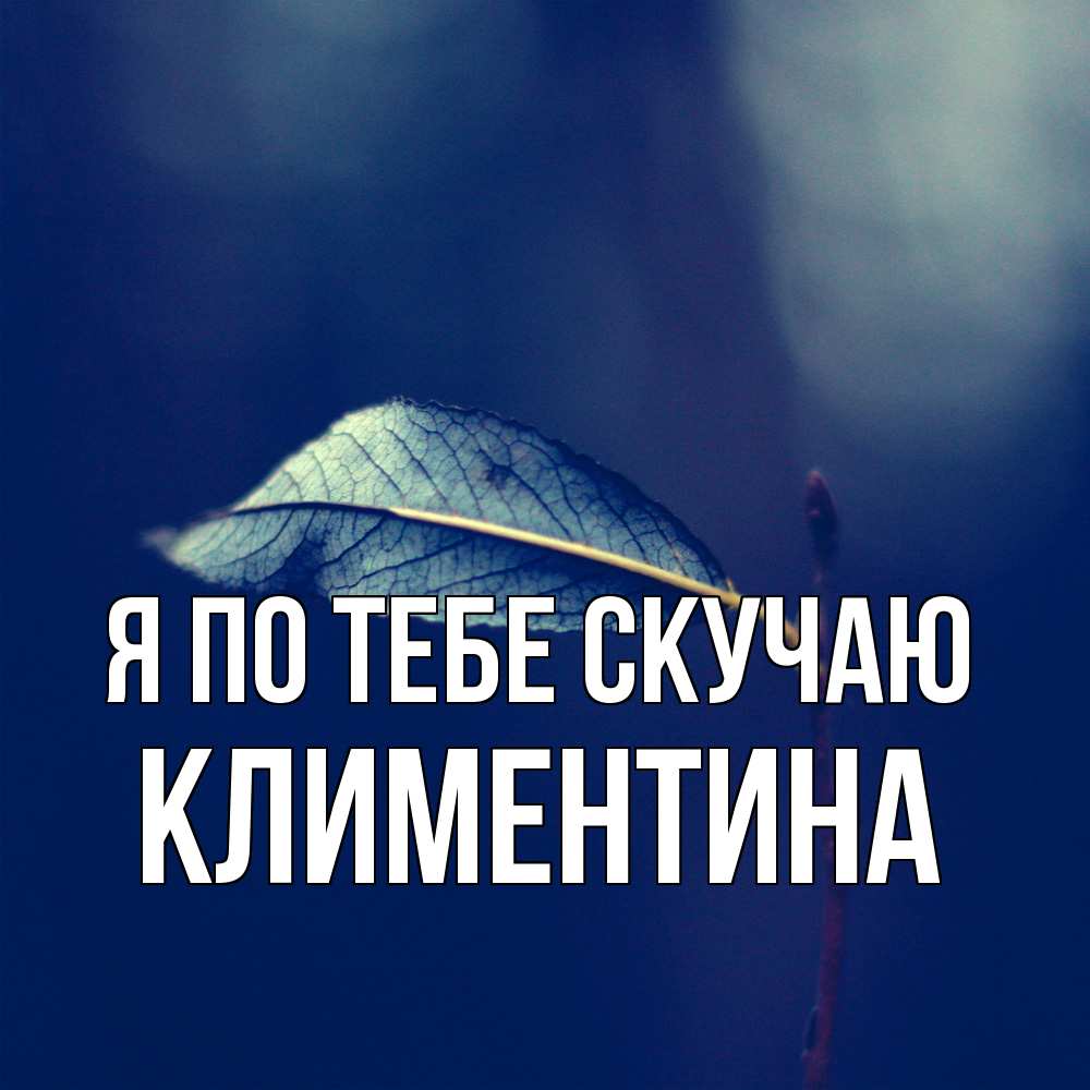 Открытка на каждый день с именем, Климентина Я по тебе скучаю одна ветка 1 Прикольная открытка с пожеланием онлайн скачать бесплатно 