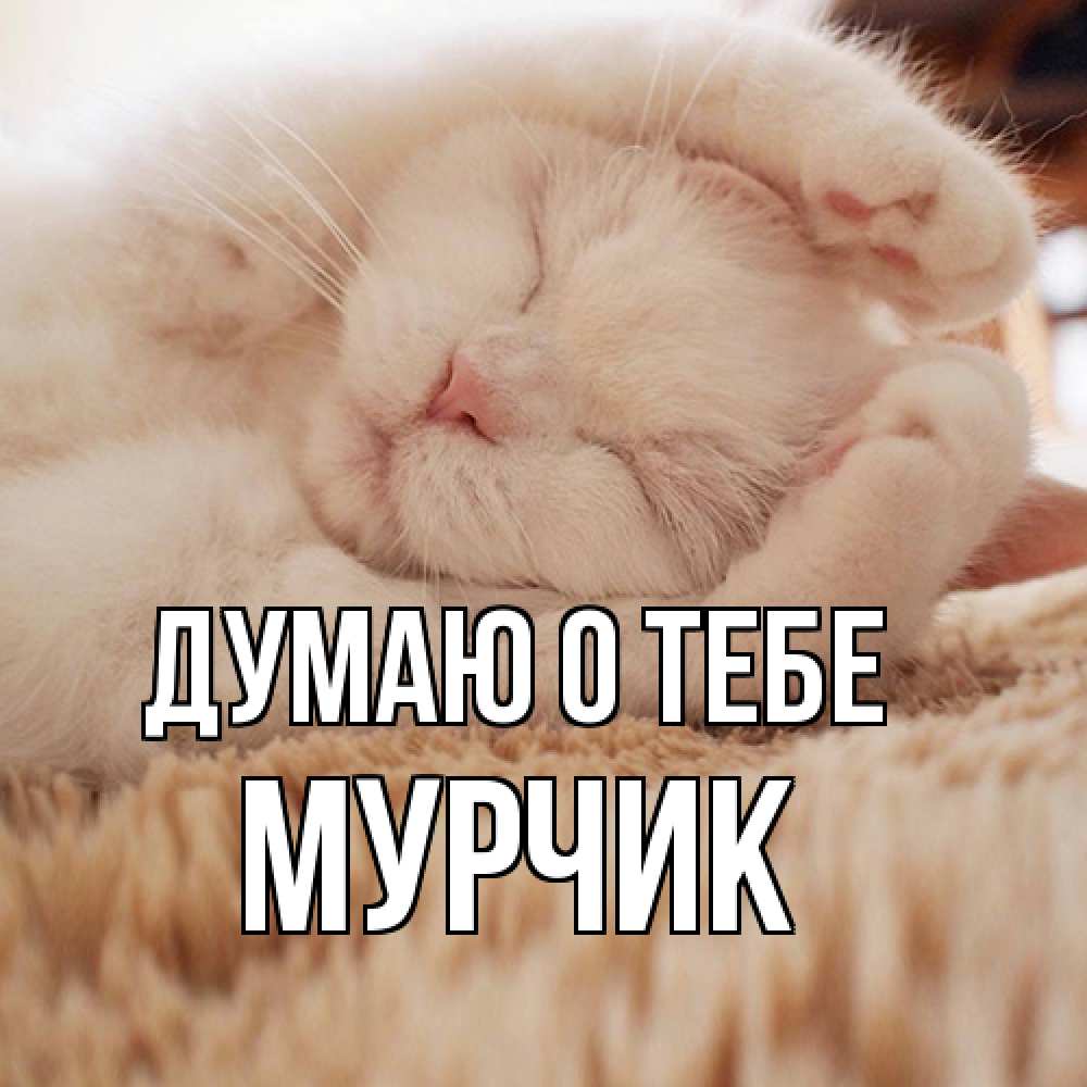 Открытка на каждый день с именем, Мурчик Думаю о тебе для любимой девушки милота Прикольная открытка с пожеланием онлайн скачать бесплатно 