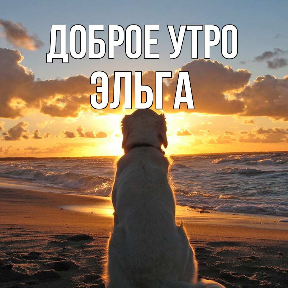 Открытка на каждый день с именем, Эльга Доброе утро восход солнца Прикольная открытка с пожеланием онлайн скачать бесплатно 