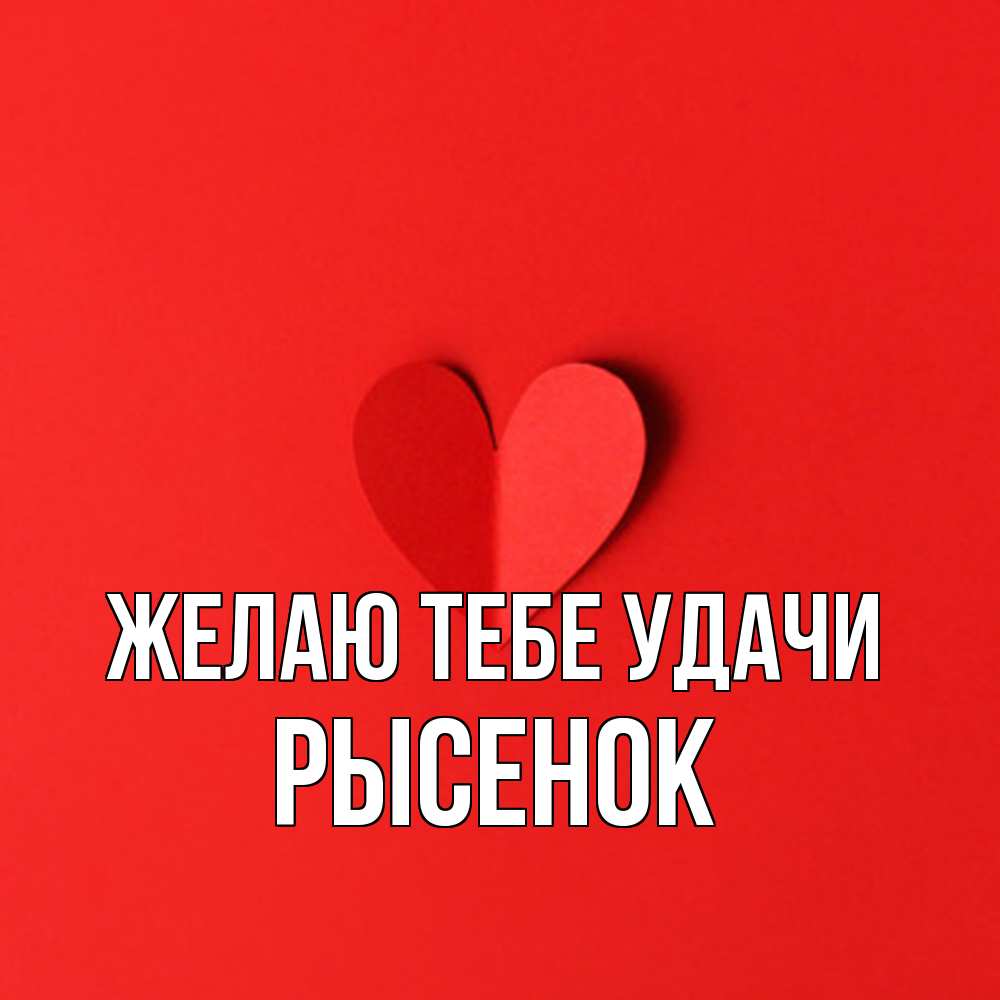 Открытка на каждый день с именем, рысенок Желаю тебе удачи пусть повезет для любимых 1 Прикольная открытка с пожеланием онлайн скачать бесплатно 