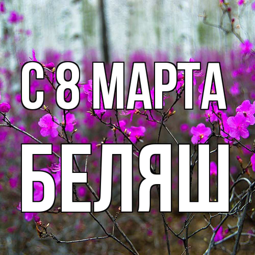 Открытка на каждый день с именем, Беляш C 8 МАРТА дикие цветы Прикольная открытка с пожеланием онлайн скачать бесплатно 