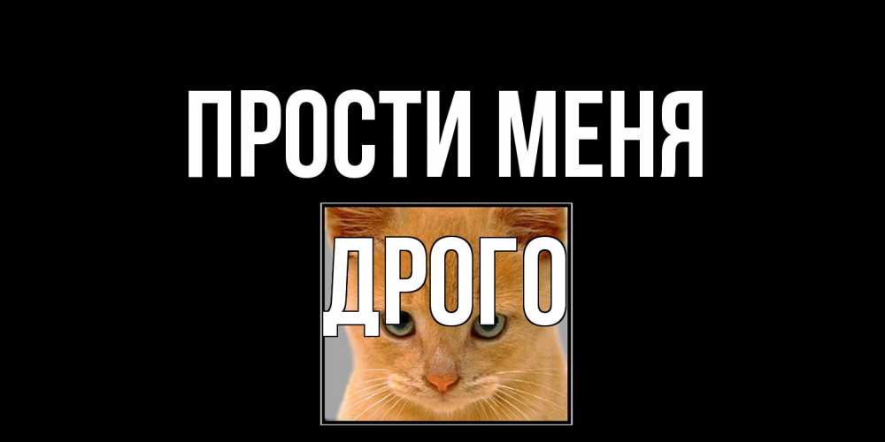 Открытка на каждый день с именем, Дрого Прости меня рыжий грустный кот просит прощения Прикольная открытка с пожеланием онлайн скачать бесплатно 