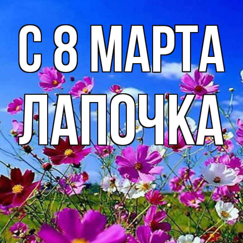Открытка на каждый день с именем, лапочка C 8 МАРТА цветы Прикольная открытка с пожеланием онлайн скачать бесплатно 