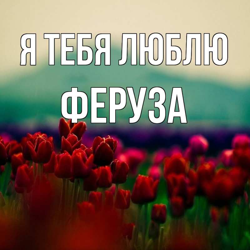 Картинка Я тебя люблю, Феруза